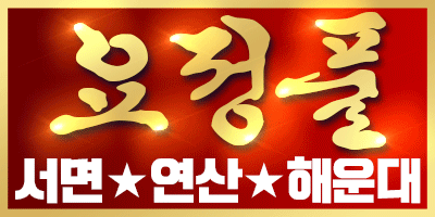 요정풀