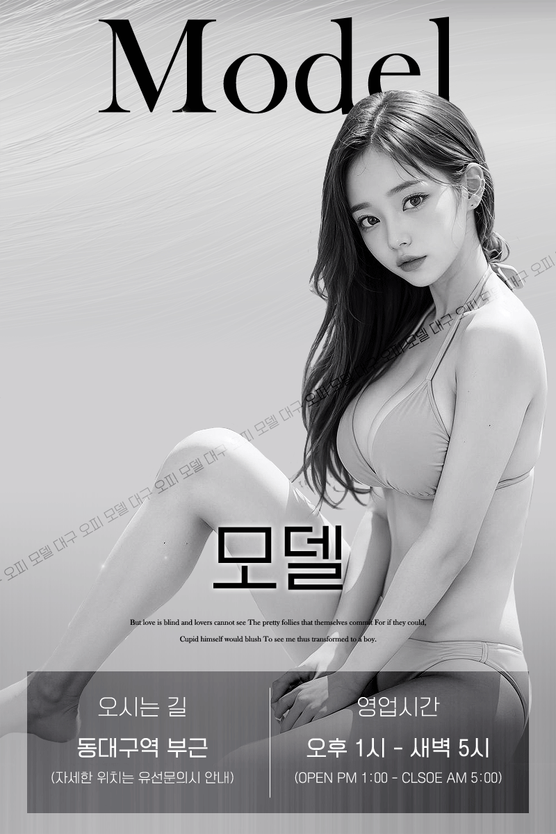 모델