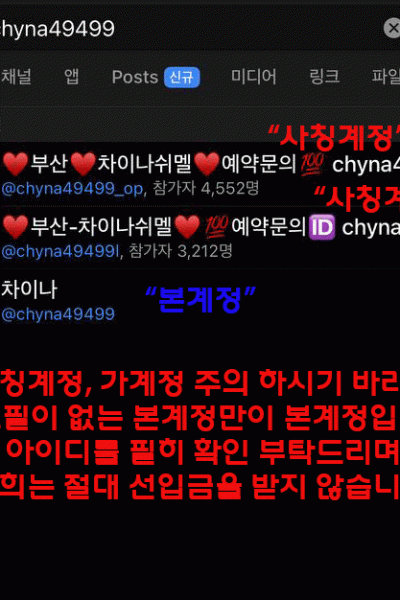 차이나쉬멜
