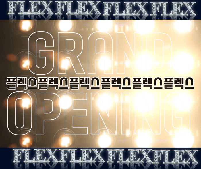 플렉스