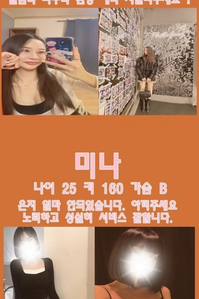 바디딸딸이