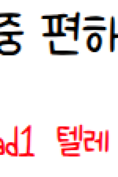 1인샵 존예