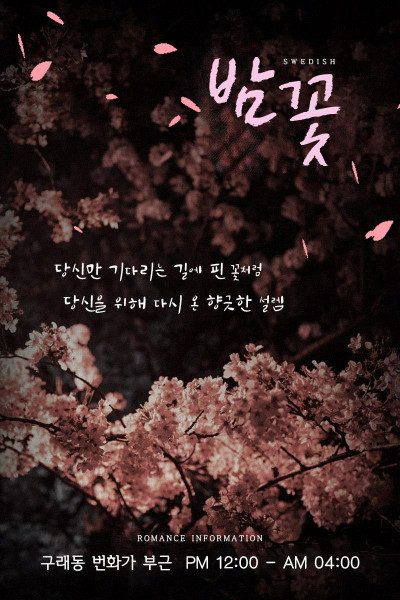 밤꽃1인샵