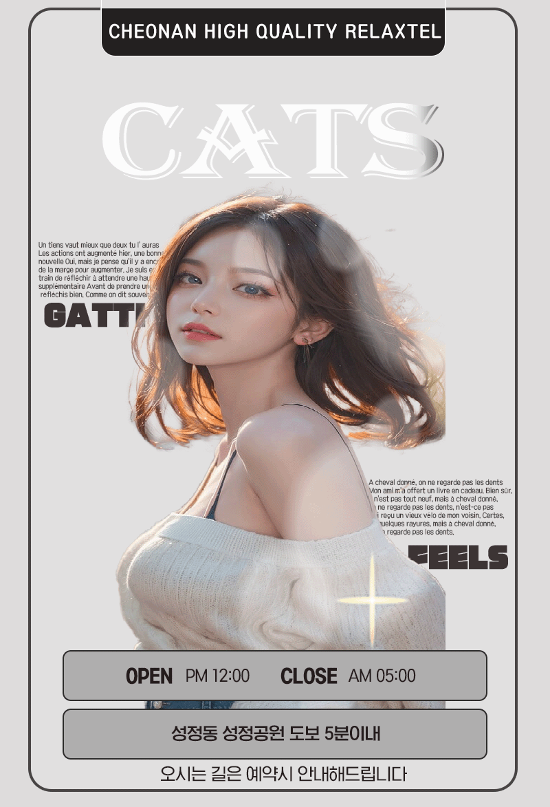 캣츠