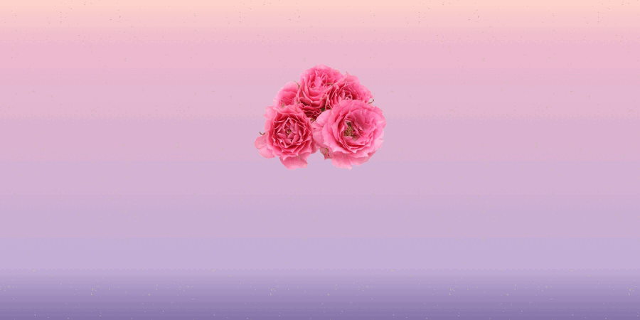 098710bb326315de9e05d8d796fd4b46_1776033616_2109.gif