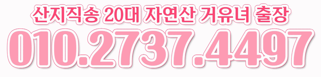 962d067153ffacfd2e88277e0d02290d_1776899147_8807.gif
