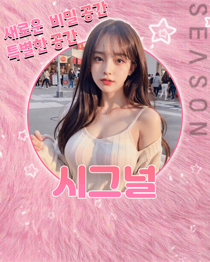 시그널