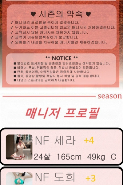 시즌