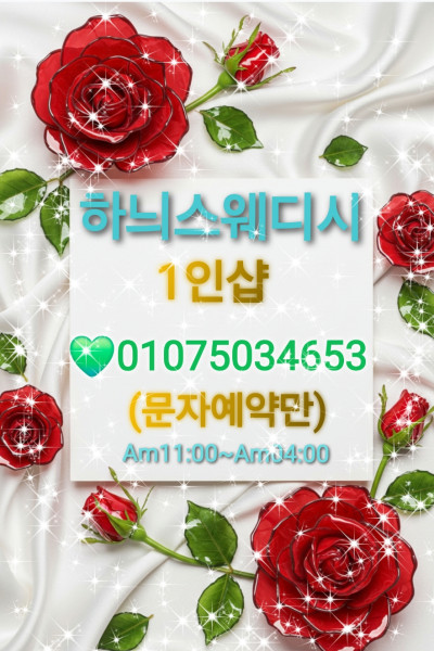 하늬스웨디시1인샵