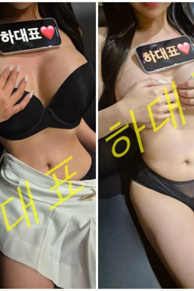 달토(런닝래빗)&퍼펙트