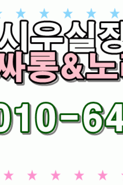 시우실장