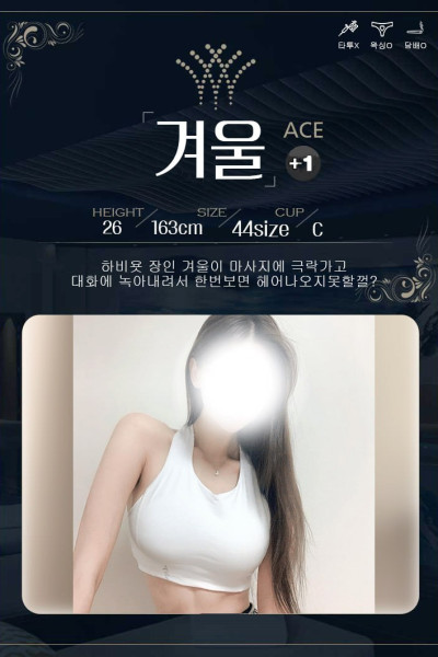New프빗