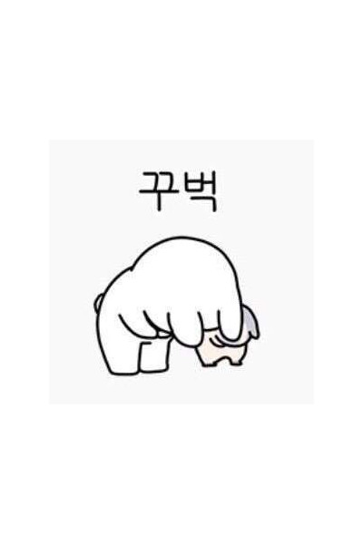 베트남 테라피